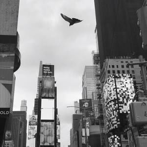 Meet your Posher, Ronnie